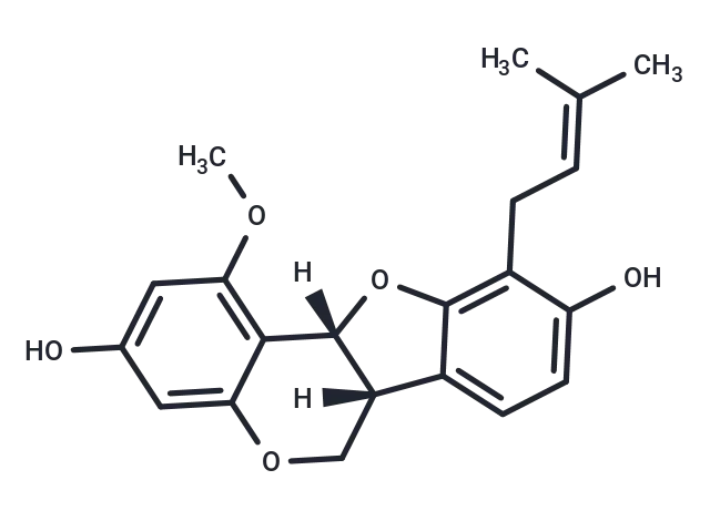 1-Methoxyphaseollidin CgoaEGY7N5CEZEmjAAAAAFOdSbU636- Immunomart