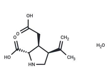 (-)-(α)-Kainic Acid (hydrate)