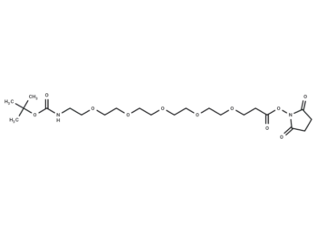 Boc-N-PEG5-C2-NHS ester