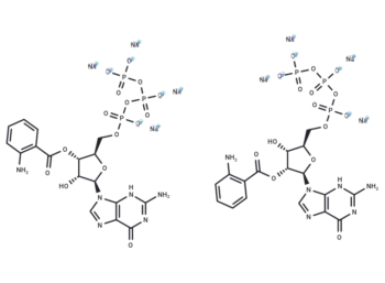 2'(3')-ANT-GTP tetrasodium