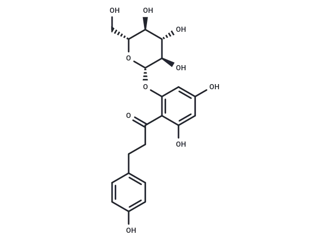 Phlorizin