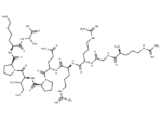 HCV Core Protein (59-68)