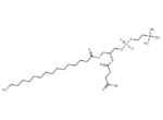 1-Palmitoyl-2-succinyl-sn-glycerophosphorylcholine