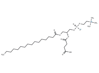 1-Palmitoyl-2-succinyl-sn-glycerophosphorylcholine