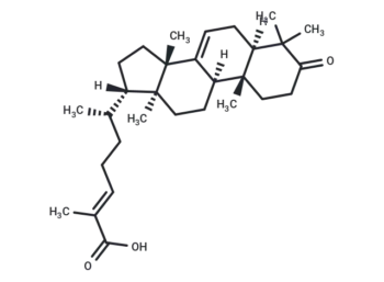 (E)-Masticadienonic acid