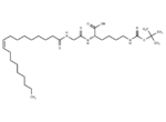 N’-Boc-N-(Gly-Oleoyl)-Lys