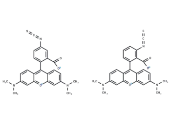 5(6)-TRITC [Tetramethylrhodamine-5-(and-6)-isothiocyanate] *Mixed isomers*