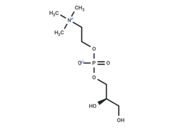 sn-Glycero-3-phosphocholine
