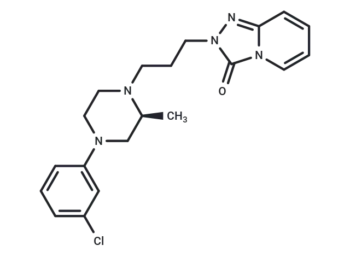 α1 adrenoceptor-MO-1