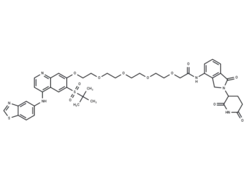 PROTAC RIPK degrader-6