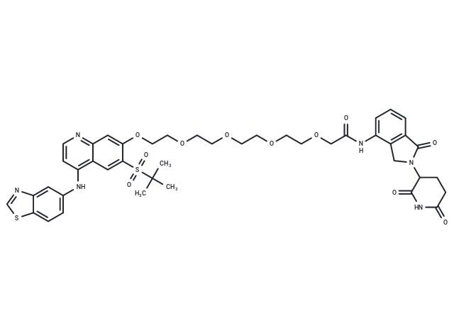 PROTAC RIPK degrader-6