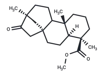 Compound N062-0007
