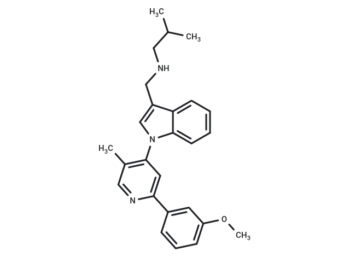 WNK-IN-7