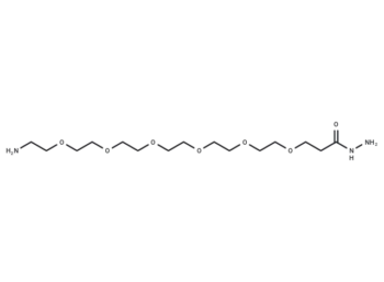 H2N-PEG6-Hydrazide