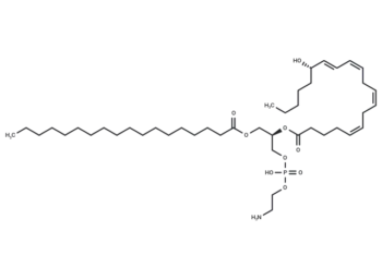 1-Stearoyl-2-15(S)-HETE-sn-glycero-3-PE