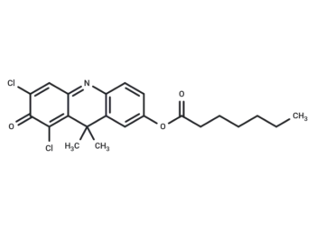 DDAO-C6