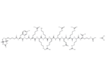 Biotin-TAT (47-57) acetate