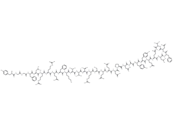 Dynorphin B 29 (pig)