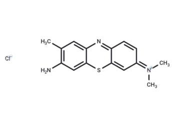 Toluidine Blue