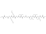Cys-Gly-Lys-Lys-Gly-Amyloid β-Protein (36-42)