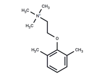Xylocholine