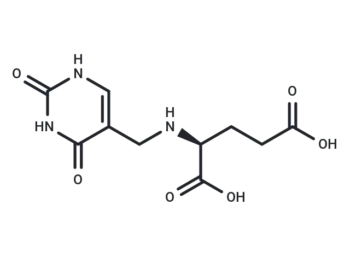 alpha-Glutamylthymine
