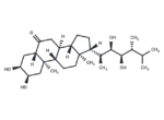 24-Epicastasterone