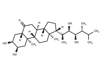 24-Epicastasterone