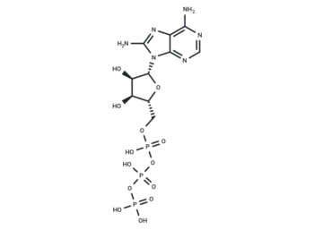 8-NH2-ATP