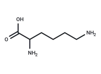 DL-Lysine