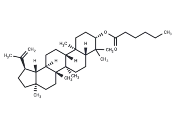 Cynanester A