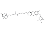 Biotin-hexanamide-(L-Thyroxine)