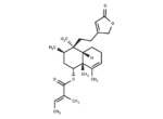 Solidagolactone III