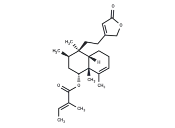 Solidagolactone III