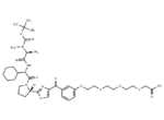 cIAP1 Ligand-Linker Conjugates 3