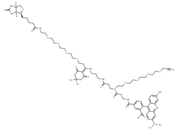 Dde Biotin-PEG4-TAMRA-PEG4 Alkyne