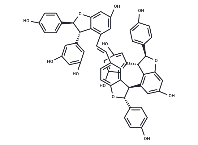Vitisin B CgoaEGY7OHSEPutYAAAAAH5Zf5Y433- Immunomart