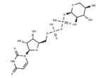 UDP-xylose