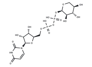 UDP-xylose