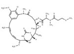 S-methyl DM1