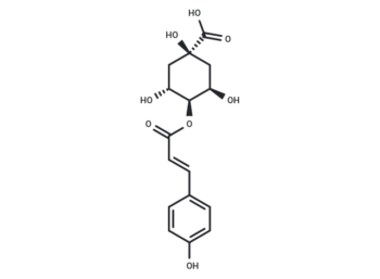 4-O-p-Coumaroylquinic acid