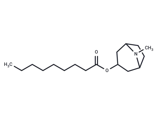 Tropine nonanoate CgoaEGY7OLiEZsN9AAAAAPFSs0U647- Immunomart