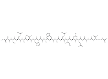 OVA Peptide (323-339)