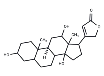 Compound 0407-0024