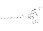 K-Ras ligand-Linker Conjugate 2