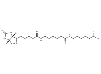 Biotin-C5-amino-C5-amino