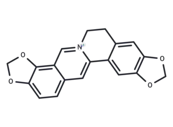 Coptisine
