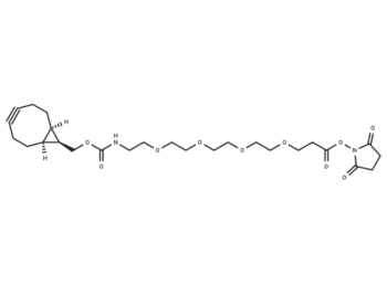 BCN-PEG4-NHS ester