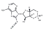 8-Azido-cAMP 1 8-Azido-cAMP