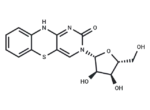 Tricyclic cytosine tC